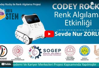 Ders #7 | Codey Rocky Öğreniyorum | Codey Rocky ile Renk Algılama Projesi