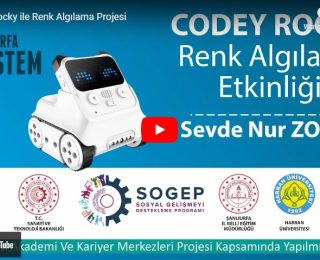 Ders #7 | Codey Rocky Öğreniyorum | Codey Rocky ile Renk Algılama Projesi