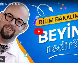 Bölüm 24 – Beyin