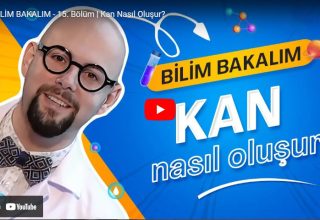 Bölüm 15 – Kan Nasıl Oluşur?