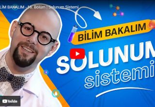 Bölüm 16 – Solunum Sistemi