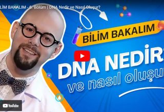 Bölüm 6 – DNA Nedir ve Nasıl Oluşur?