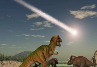 Dinozorları yok eden göktaşı nereden geldi: Bilimin bu soruya bir yanıtı var