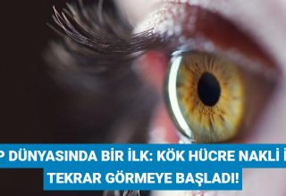 Tıp dünyasında bir ilk: Kök hücre nakli ile tekrar görmeye başladı!